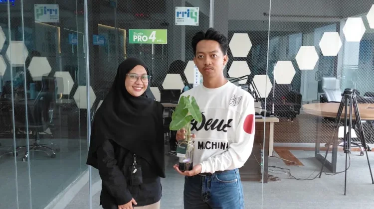 UMKM Tanaman Hias Dorong Kreativitas dan Kemandirian Pelaku Usaha