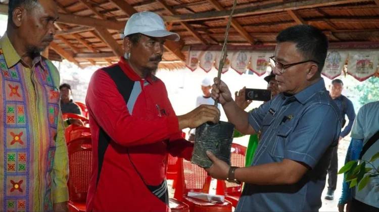 Pemkab Konawe Salurkan Bantuan Bibit Durian dan Sarana Produksi Pertanian