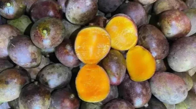 Buah Lokal Nusantara Semakin Sulit Dijumpai