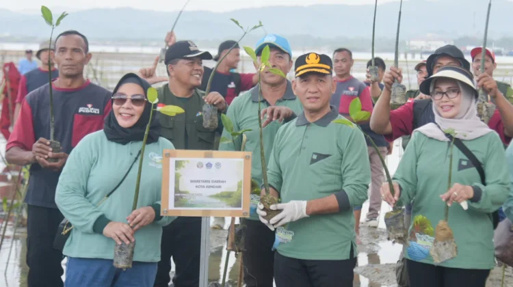 Pemkot Kendari Tanam 1.000 Mangrove