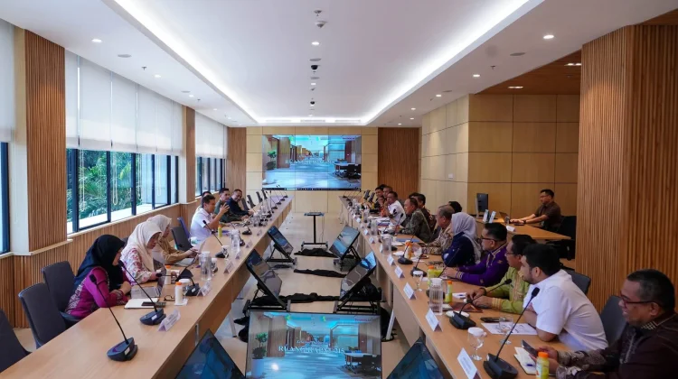 Gubernur Sultra Bahas Penguatan Layanan Kesehatan dengan Menkes RI