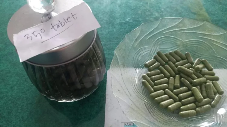 Dunia Tak Selebar Daun Kelor, Khasiatnya ternyata Mendunia