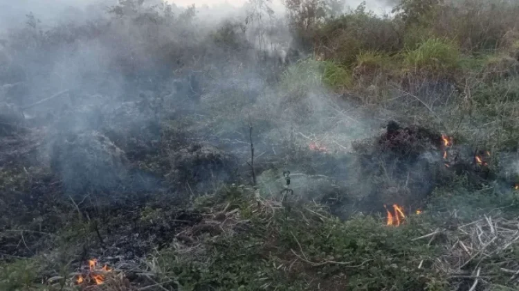 El Nino Tingkatkan Risiko Karhutla, Warga Diminta Waspada
