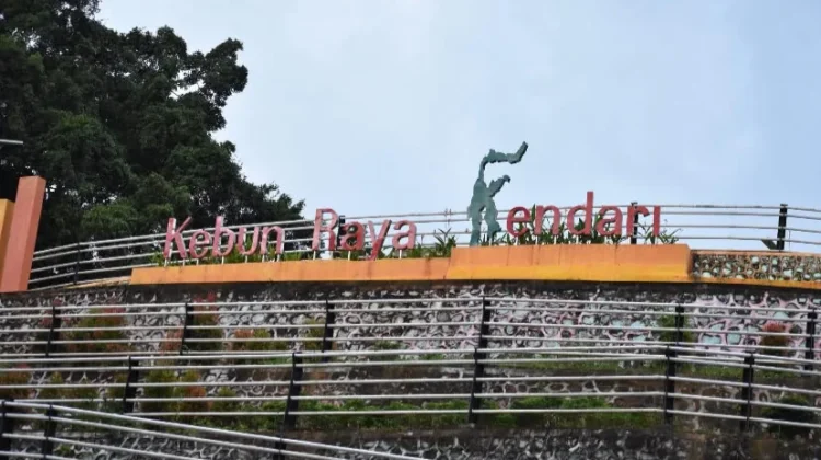 Pemkot Kendari Matangkan Pengembangan Kebun Raya