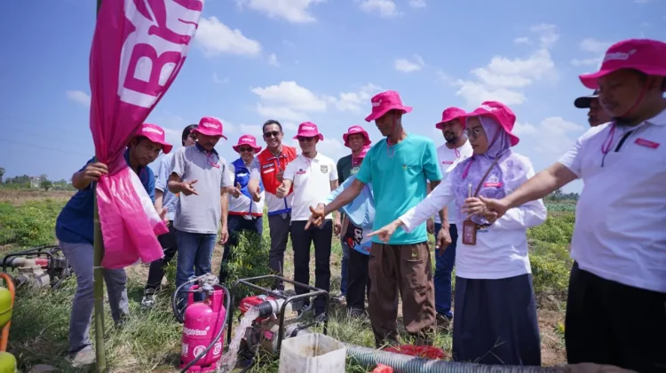 Pertamina Luncurkan Energi Alternatif Pompa Irigasi Bright Gas di Gowa