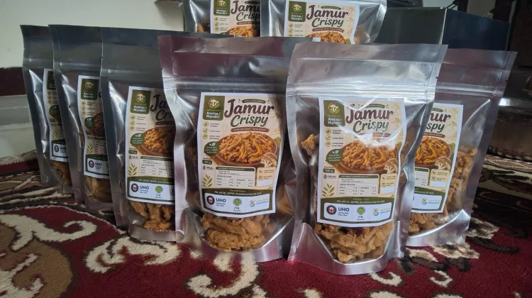 DPPM Kemdiktisaintek RI, Dosen UHO Dorong Jamur Tiram Jadi Produk Unggulan