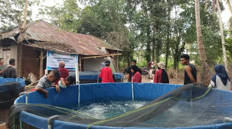 Sinergi Program Budidaya Ikan Nila Teknologi Bioflok Desa Alebo