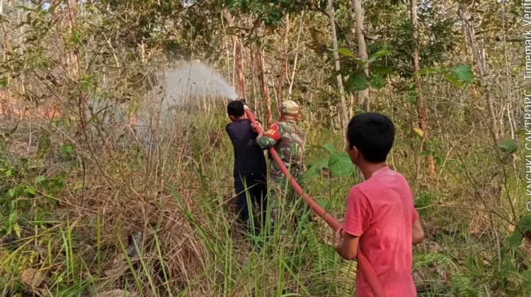 Cegah Api Meluas ke Pemukiman, Babinsa Bersama Warga Padamkan Kebakaran Lahan