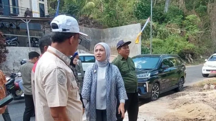 Pemkot Baubau Siapkan Penebangan Pohon Tua di Waruruma