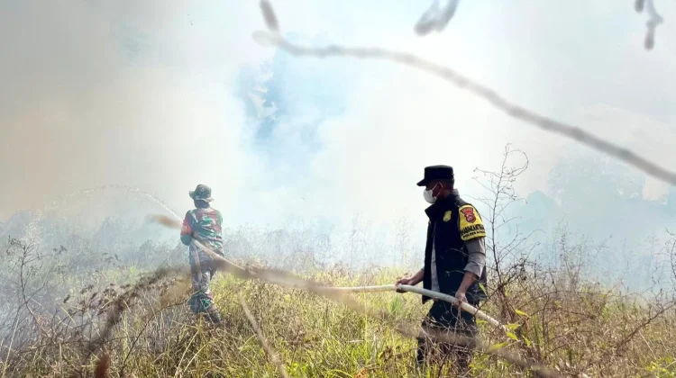 Tim Gabungan Berhasil Padamkan Kebakaran Lahan di Desa Ambesea