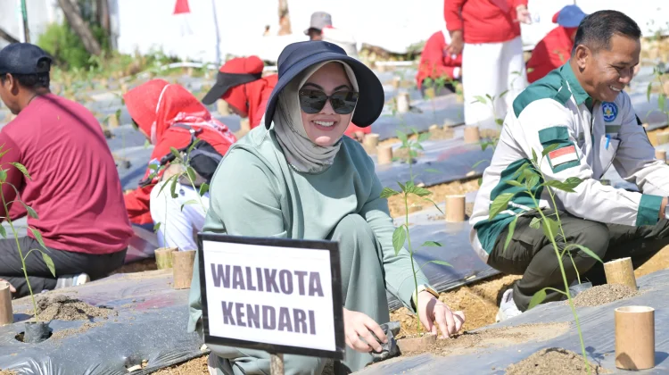 Manfaatkan Lahan Kosong, Pemkot Kendari Tanam Cabai