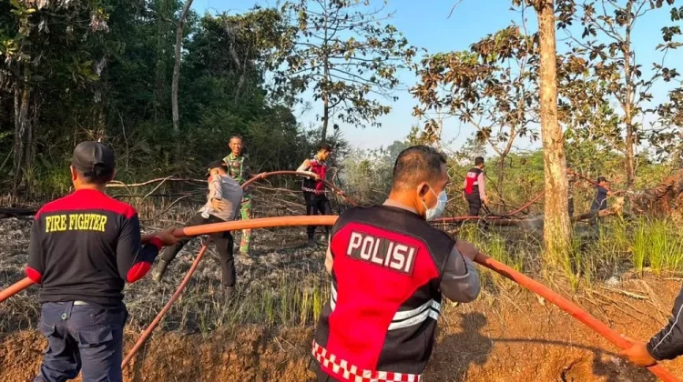 Kebakaran Lahan Konawe Berhasil Dipadamkan Petugas Gabungan