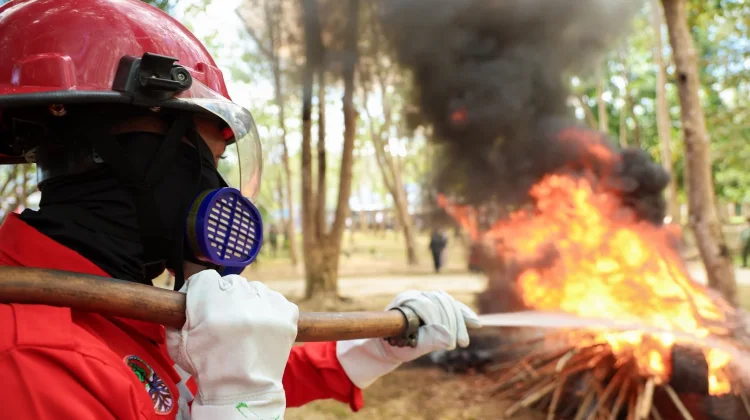 Pemerintah Pusat Tambah Dukungan Penanganan Kekeringan di Sultra