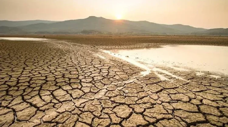 BMKG Peringatkan Kekeringan Meteorologis di Sejumlah Wilayah Sultra