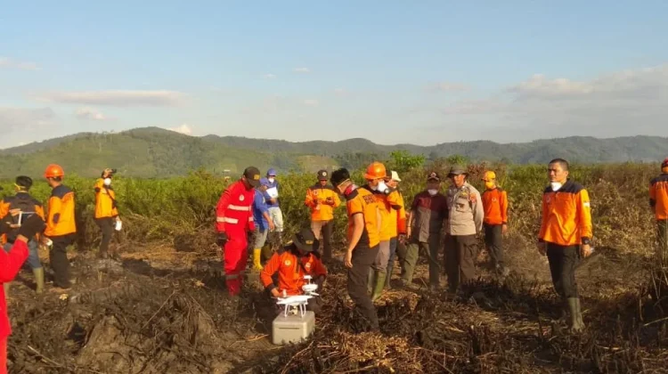 Dua ribu 376 Hektare Lahan di Sultra Terbakar Selama Januari hingga Juli 2026