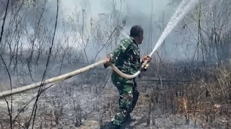 Babinsa Koramil Mandonga dan Warga Padamkan Kebakaran Lahan di Korumba