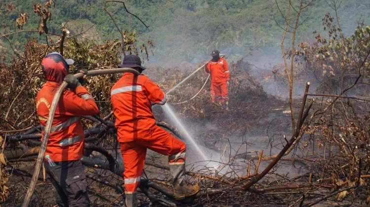 Karhutla Meluas hingga 206 Hektare, Lalolae Jadi Perhatian Pemkab Koltim