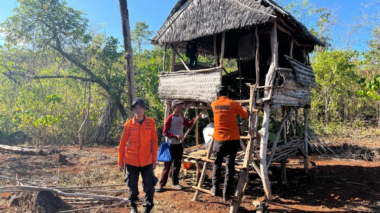 Hari Ke-5 Pencarian Lansia Hilang di Hutan Mawasangka Masih Nihil