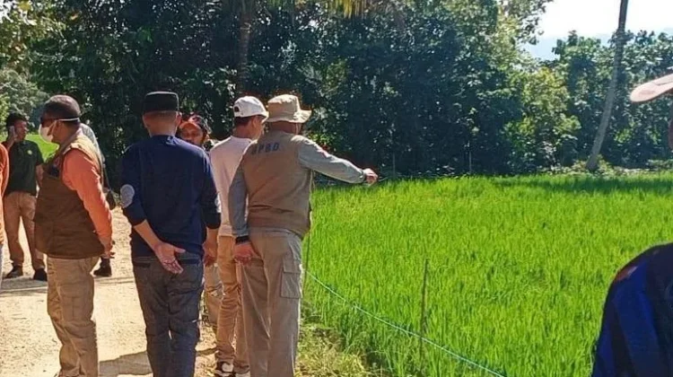 Kekeringan Mulai Berdampak, Petani Bungi Kota Baubau Didorong Optimalkan Air