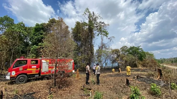 Dua Hektare Lahan Terbakar di Wawonii Tengah, Api Berhasil Dipadamkan