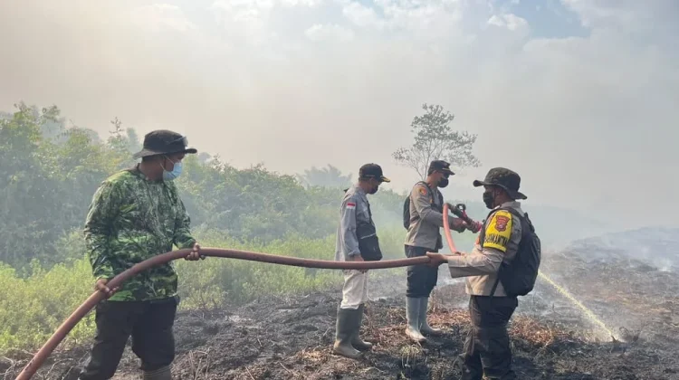 Polri, TNI dan BPBD Padamkan Karhutla di Lahan Gambut Kolaka Timur
