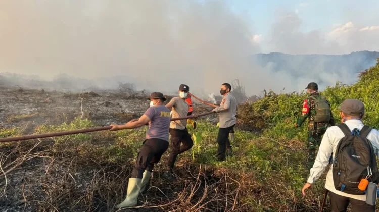 Lahan Gambut 10 Hektare Terbakar di Koltim, Tim Gabungan Lakukan Pendinginan