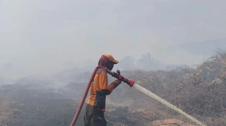 Karhutla Koltim Capai 273,5 Hektare, Dua Titik Masih Terbakar