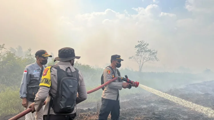 Polri, TNI dan BPBD Padamkan Karhutla di Kolaka Timur