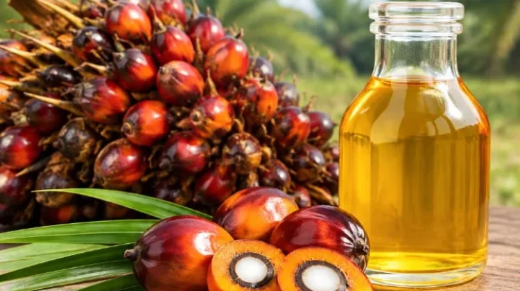 Indonesia Produsen Sawit Terbesar Dunia 2026-2027