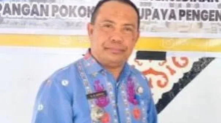 Pemkab Kolaka Siapkan Lahan Penggilingan Padi Modern Terintegrasi
