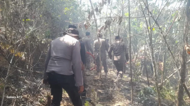 TNI-Polri dan Pemkot Kendari Padamkan Kebakaran Lahan di Baruga