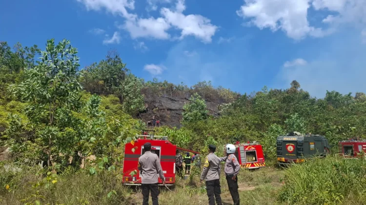 Sinergi TNI-Polri dan Pemkot Kendari Padamkan Kebakaran Lahan di Baruga
