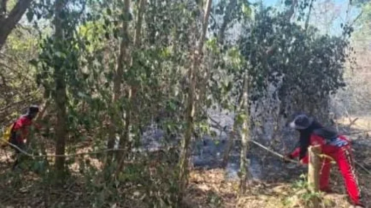 Damkar-Mat Konawe Selatan apresiasi Unsur Penanganan Karhutla di Konsel