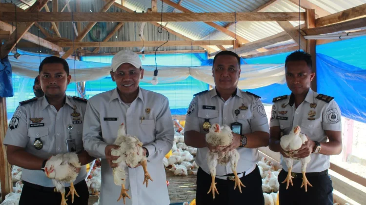 Dukung Ketahanan Pangan, Kanwil Ditjenpas Sultra Panen 1,6 Ton Ayam Pedaging