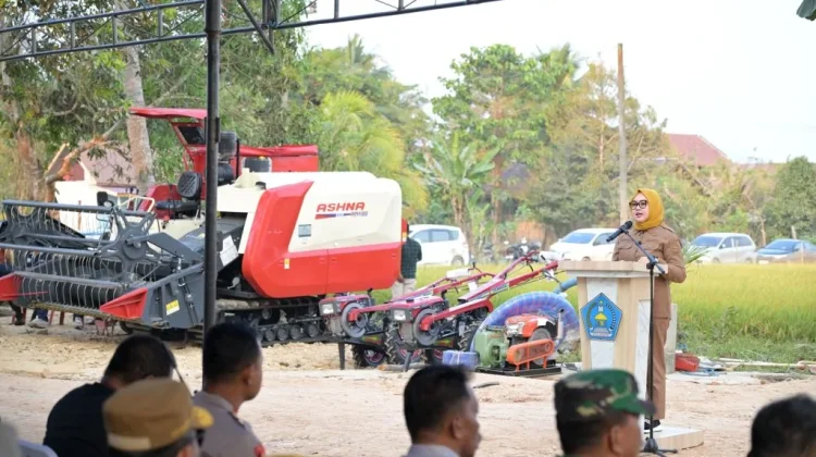 Pemkot Kendari Dorong Kawasan Amohalo Jadi Kawasan Agro Wisata
