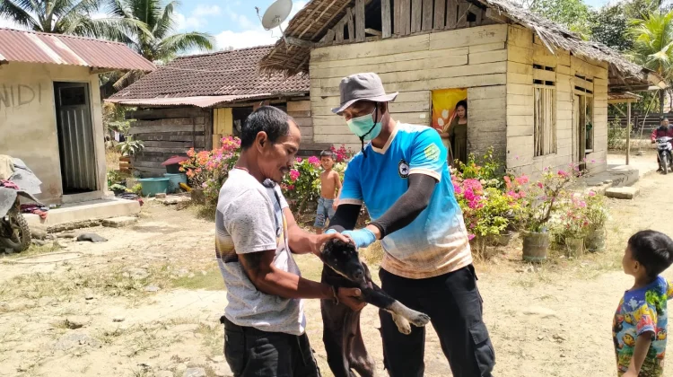 Konawe Tingkatkan Pencegahan Rabies melalui Pelayanan Vaksinasi Rabies