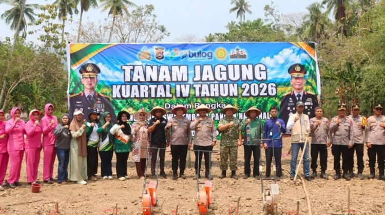 Sinergi Lintas Sektor Bombana Perkuat Penanganan Jagung Kuartal IV 2026