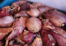 Manfaat Bawang Merah untuk Kuliner dan Pengobatan Alami