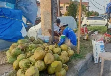 Permintaan Kelapa Muda Meningkat saat Bulan Ramadan