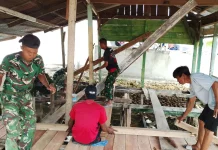 Satgas TMMD ke-127 Kendari Percepat Renovasi Rumah Warga Petoaha