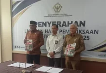 Gubernur Sultra Apresiasi Laporan Hasil Pemeriksaan  Kinerja Pemda