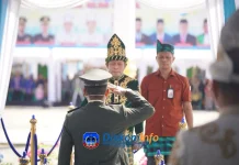 Wagub Sultra Pimpin Upacara Hari Jadi Kabupaten Kolaka