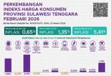 Inflasi Sulawesi Tenggara Capai 5,41 Persen di Februari 2026