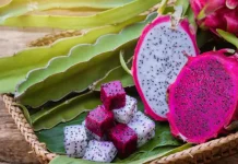 Manfaat Buah Naga bagi Kesehatan Tubuh