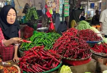 Harga Bahan Pangan Naik jelang Lebaran Idulfitri 2026