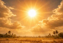 Persiapan Hadapi Cuaca Panas akibat Fenomena El Niño 2026