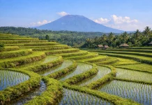 Tujuh Kearifan Lokal Indonesia yang Ramah Lingkungan
