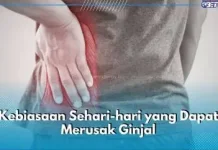 Kebiasaan tanpa Disadari Dapat Merusak Kesehatan Ginjal