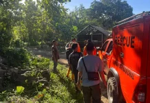 SAR Gabungan Lanjutkan Pencarian Warga Sampolawa Hilang Dikebunnya