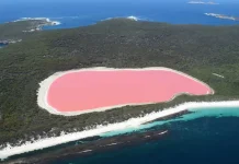 Danau Merah Muda yang Menakjubkan, Fenomena Alam Unik di Australia